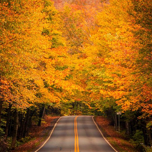 Smuggler's Notch